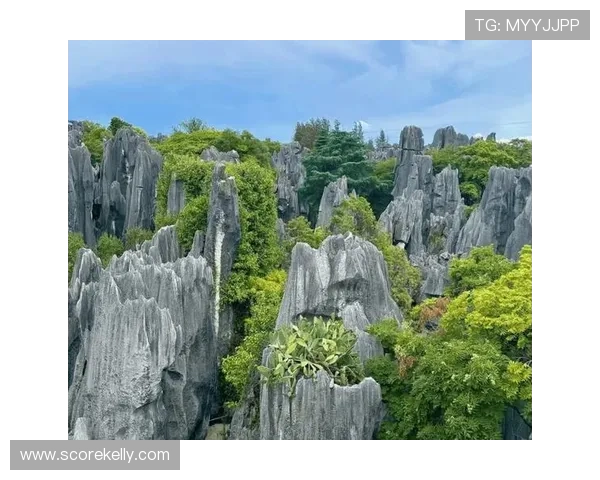 玩球波胆大小球结合避坑指南彩票数字高频玩法防骗